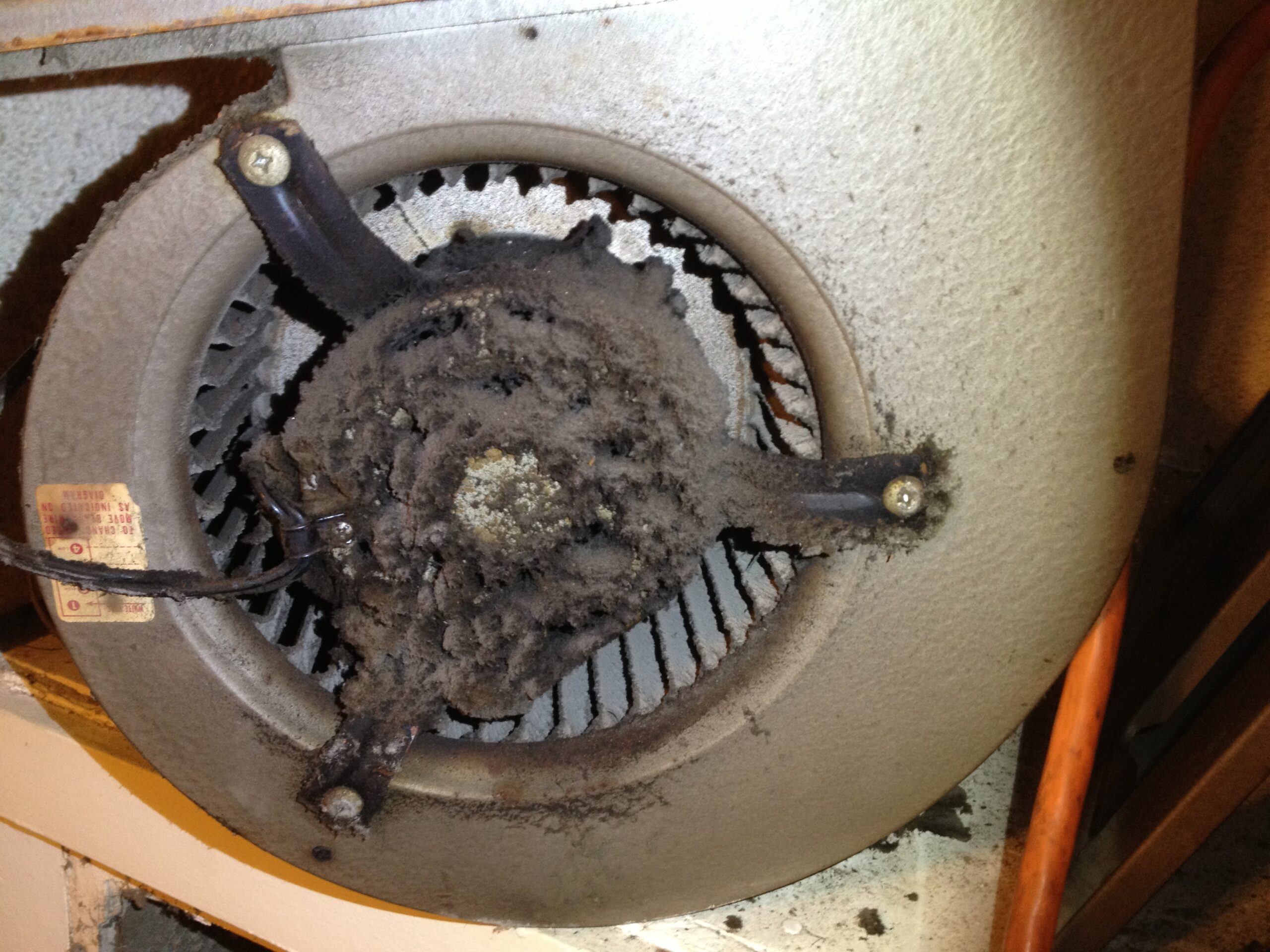 Another AC Blower before it has been cleaned by A-1 Duct Cleaning & Chimney Sweep